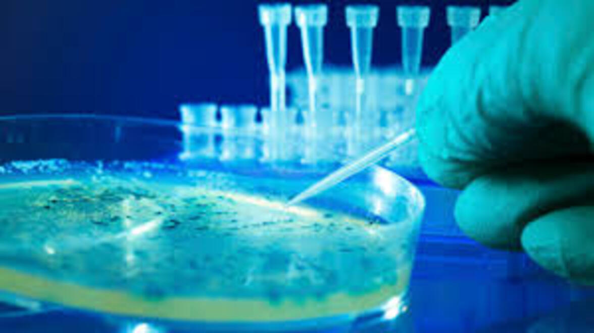 XIX семинар по экспресс-методам и автоматизации в пищевой микробиологии (MRAMA), Барселона, Испания