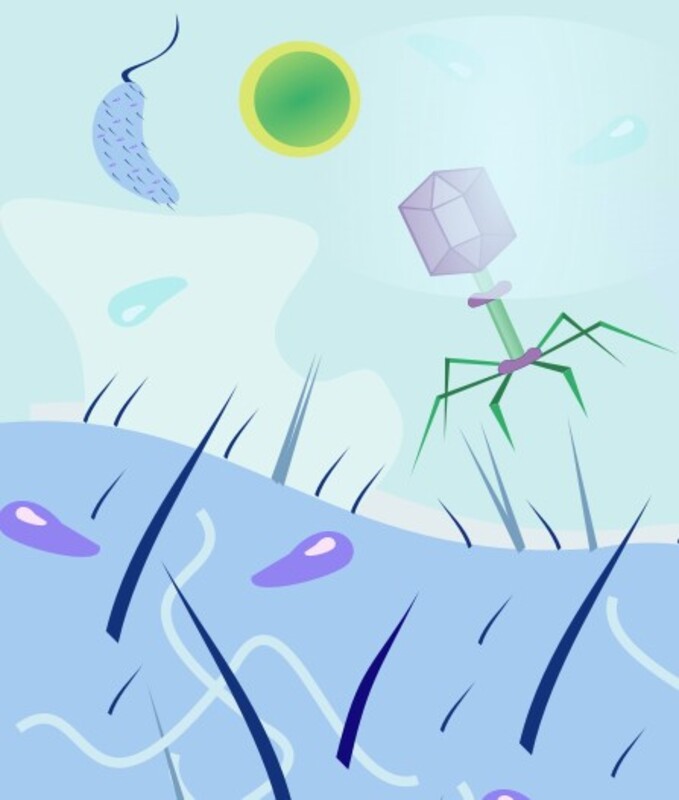 Международная конференция "Бактериофаги: от фундаментальных исследований к применению"