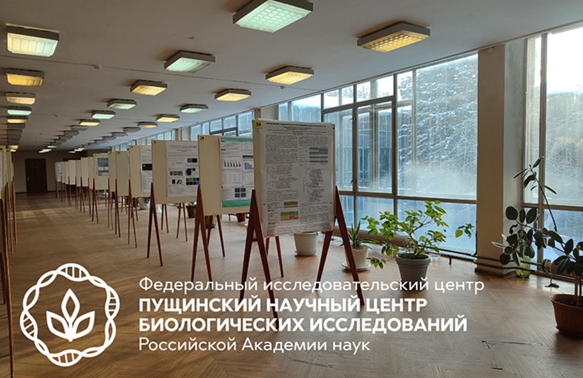 X Всероссийская Пущинская конференция «Биохимия, физиология и биосферная роль микроорганизмов»