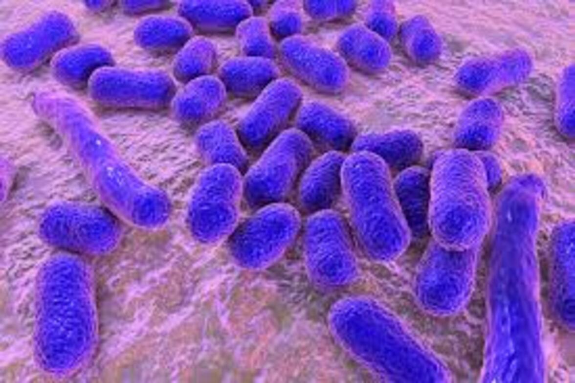 Контроль и борьба с резистентными Acinetobacter baumanii в отделении реанимации и интенсивной терапии