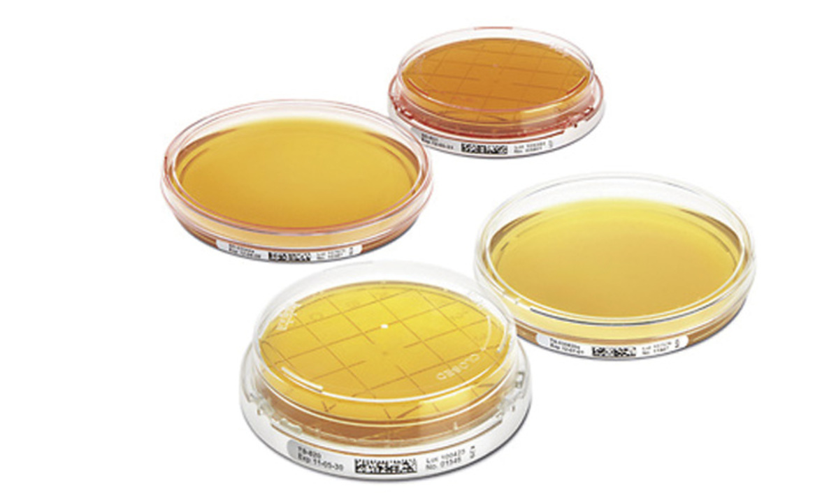 Влияние предварительного хранения проб окружающей среды на результаты подсчета микроорганизмов