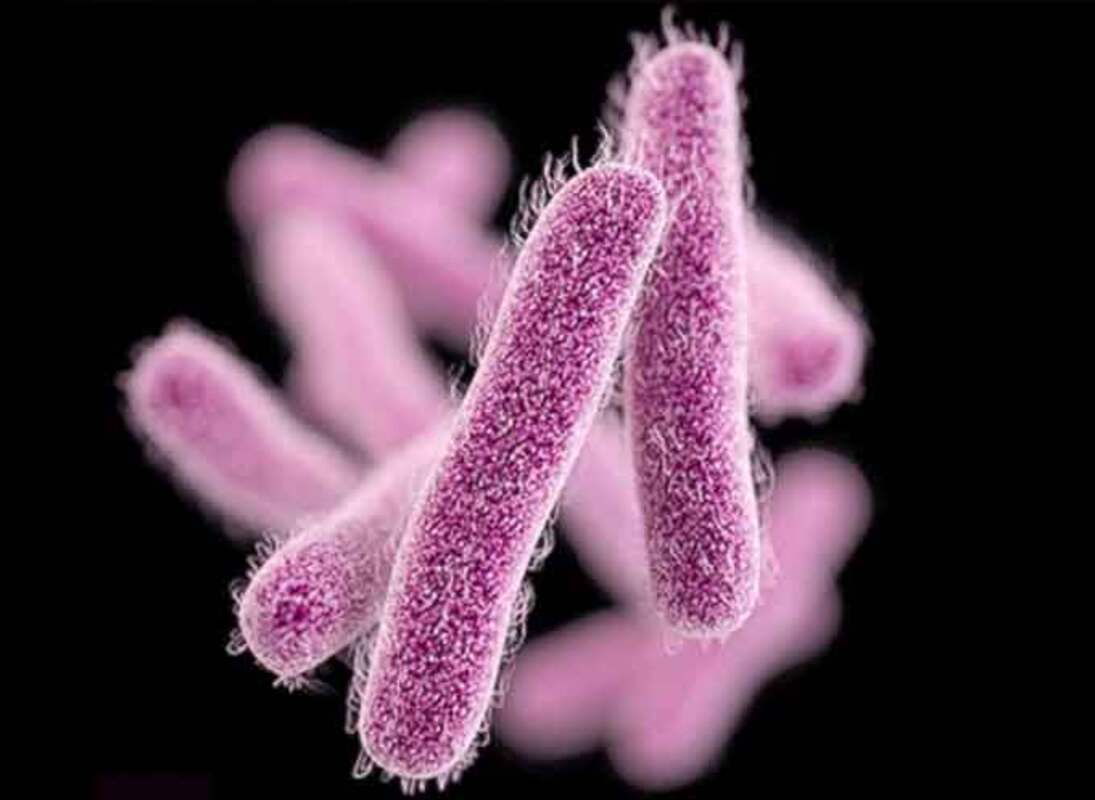 Повышенный риск колонизации карбапенем-резистентных энтеробактерий в отделениях интенсивной терапии после госпитализации.