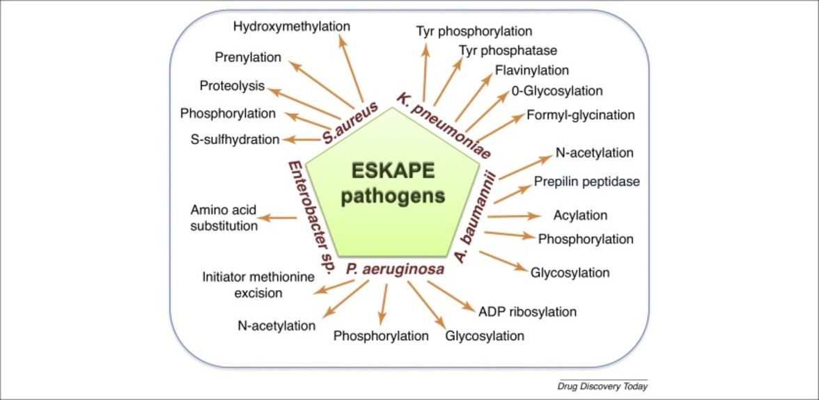 Антимикробная резистентность ESKAPE патогенов