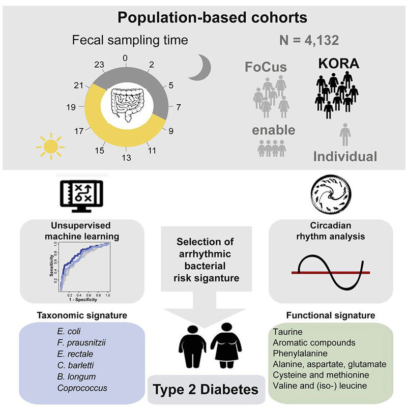 Диабет 2 типа связан с аритмическим ежедневными изменениями в  кишечном микробоме