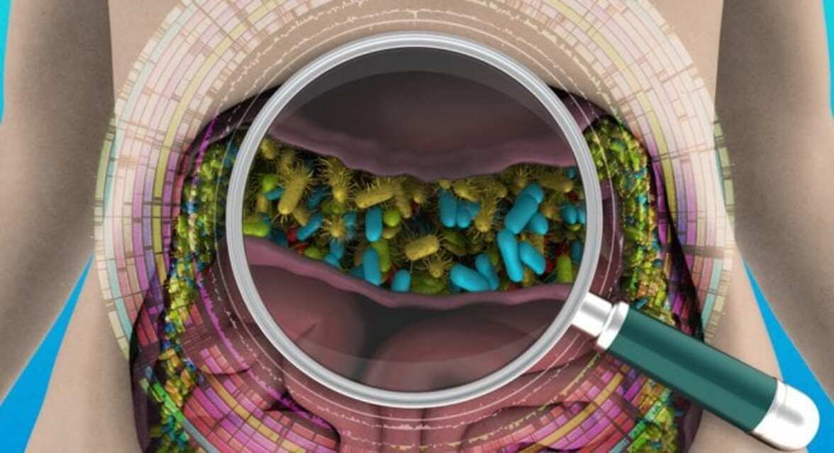 Непревзойденная инвентаризация экосистемы кишечника человека