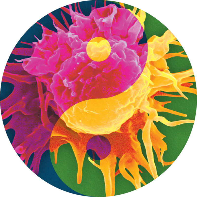 Инь и янь воспаления контролируемые одной молекулой