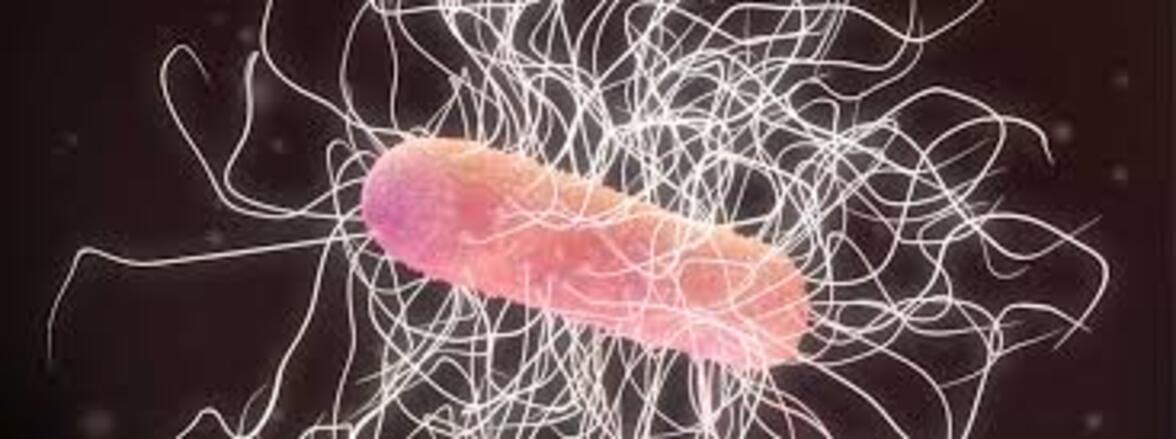 Clostridioides difficile у пациентов с КОВИД-19, Детройт, Мичиган, США, март-апрель 2020 г (аннотация)