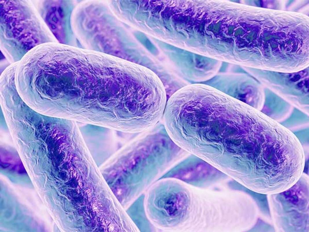 Тенденции в области тестирования микобактерий, Соединенные Штаты, 2009-2015 гг. (аннотация)