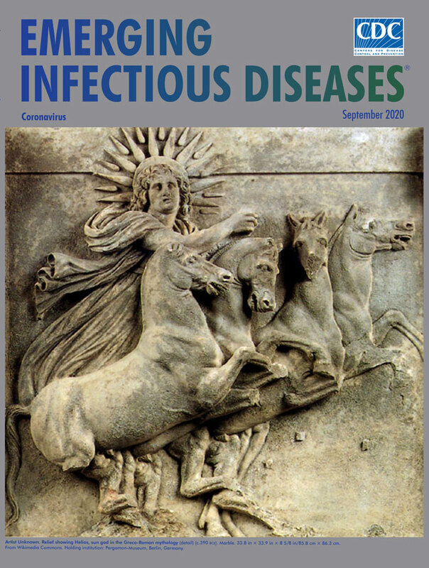 Концепция короны и крушение коронавируса