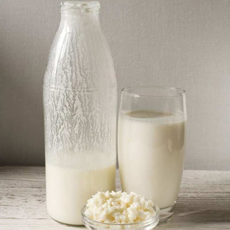 Молочные продукты, ферментированные лактобактериями, ослабляют потерю костной ткани в экспериментальной крысиной модели постменопаузального первичного остеопороза индуцированного овариэктомией (аннотация)