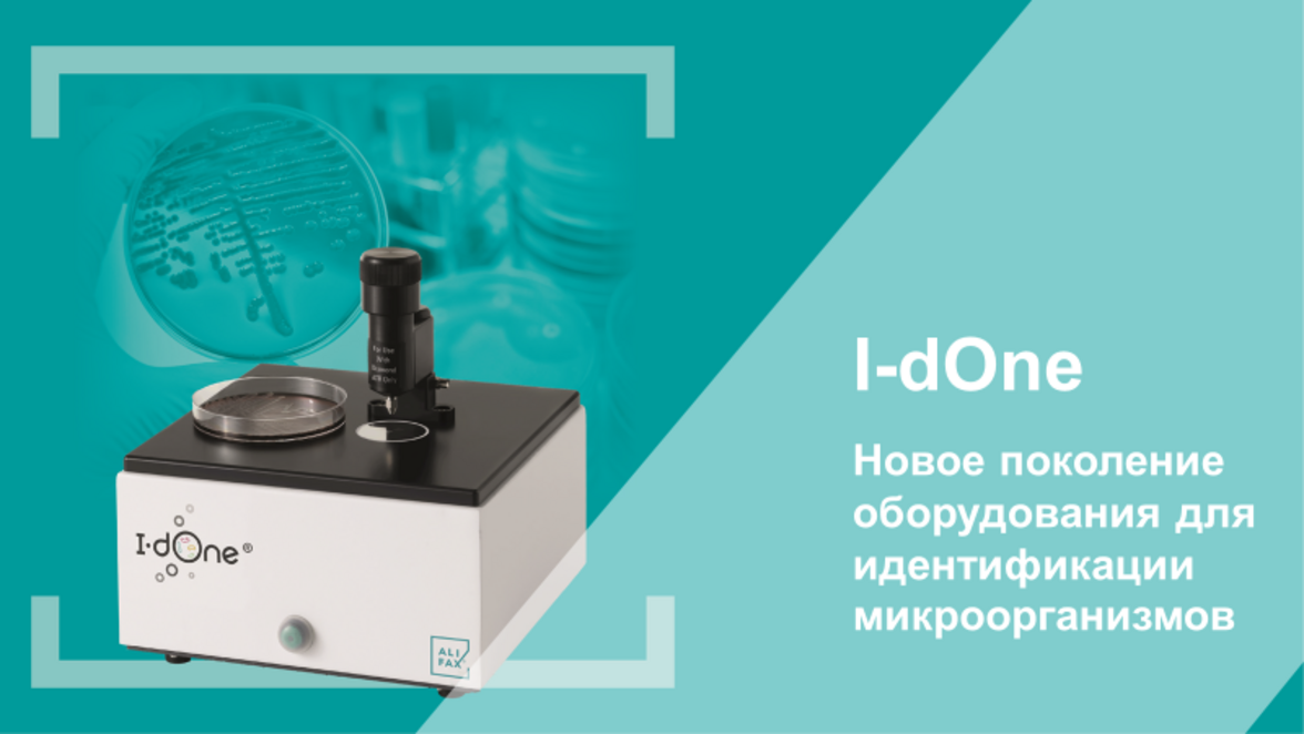 Изучение возможностей инфракрасной спектроскопии для исследования осадков мочи и обнаружения патогенных бактерий при инфекциях мочевыводящих путей (аннотация)