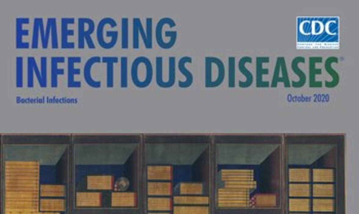 Внешняя оценка качества молекулярных тестов SARS-CoV-2, Южная Корея (аннотация)