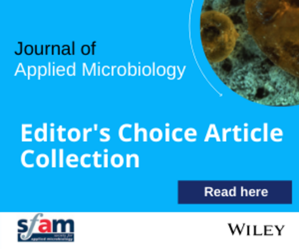 Усиленная in vitro антимикробная активность амфотерицина B в сочетании с берберином против двухвидовых биопленок Candida albicans и Staphylococcus aureus (аннотация)