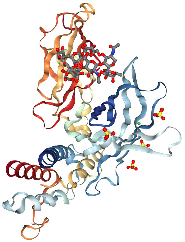 IL-21 - ключевая часть иммунного ответа на инфекции центральной нервной системы