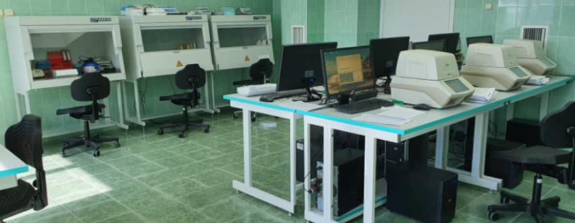 В Москве создан уникальный автоматизированный лабораторный комплекс, позволяющий ежедневно проводить более 4000 исследований НА COVID-19