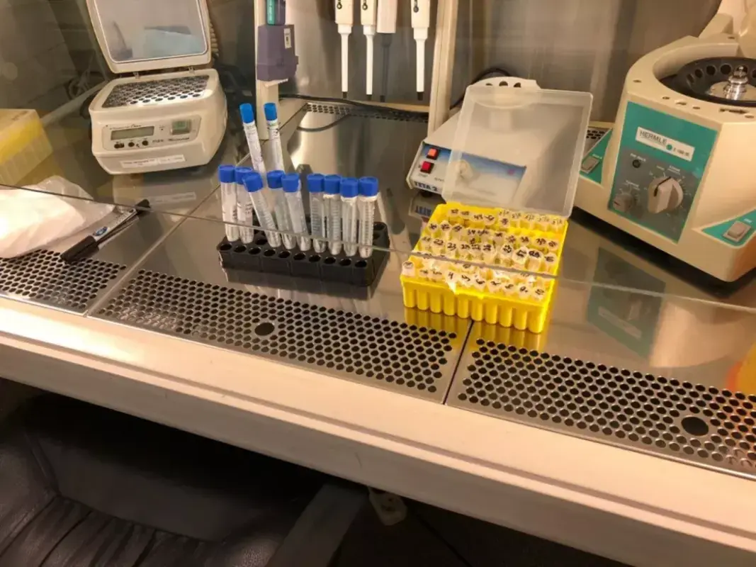 На оснащение лабораторий для диагностики коронавируса выделен 1 млрд рублей