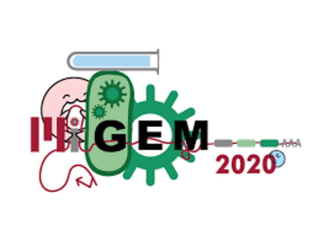 Студенты МГУ получили золотую медаль на конкурсе по биотехнологиям iGEM-2020