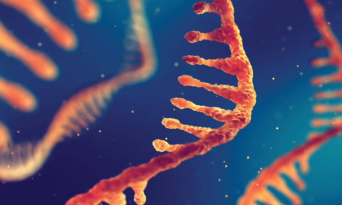 Коинфекция: больше, чем сумма частей