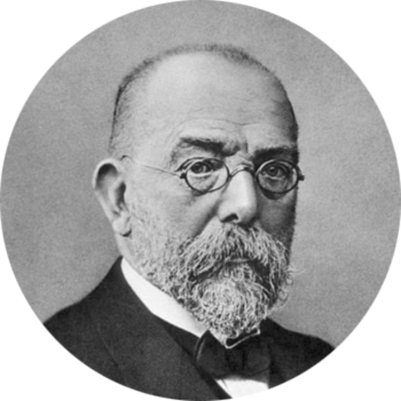 Этимология: чашка Петри