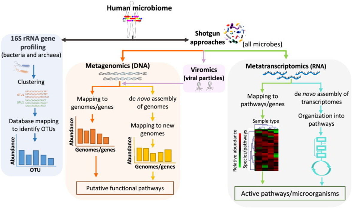 Реакция на противоинфекционную терапию становится более понятной благодаря новой методике