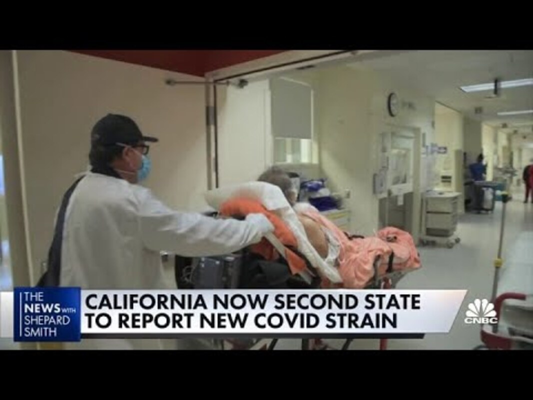 Эксперты обсуждают вирусные варианты SARS-CoV-2