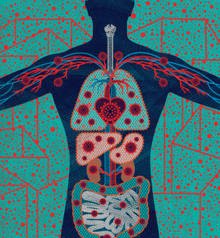 Почему SARS-CoV-2 лучше реплицируется в верхних дыхательных путях