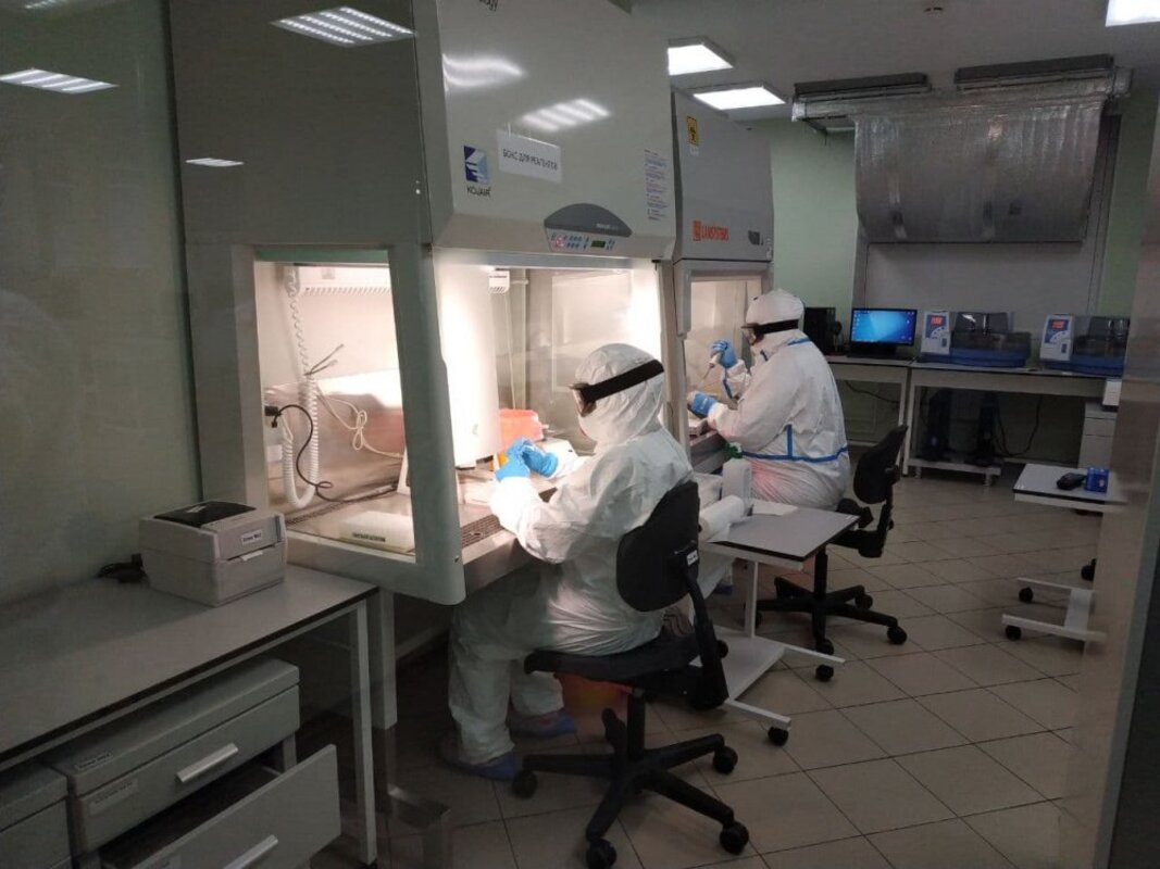 Правительство продлило временный порядок распределения тест-систем для диагностики коронавируса