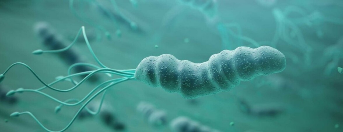 Обновление клинической практики Американской гастроэнтерологической ассоциации по ведению персистирующей инфекции Helicobacter pylori: экспертный обзор (аннотация)