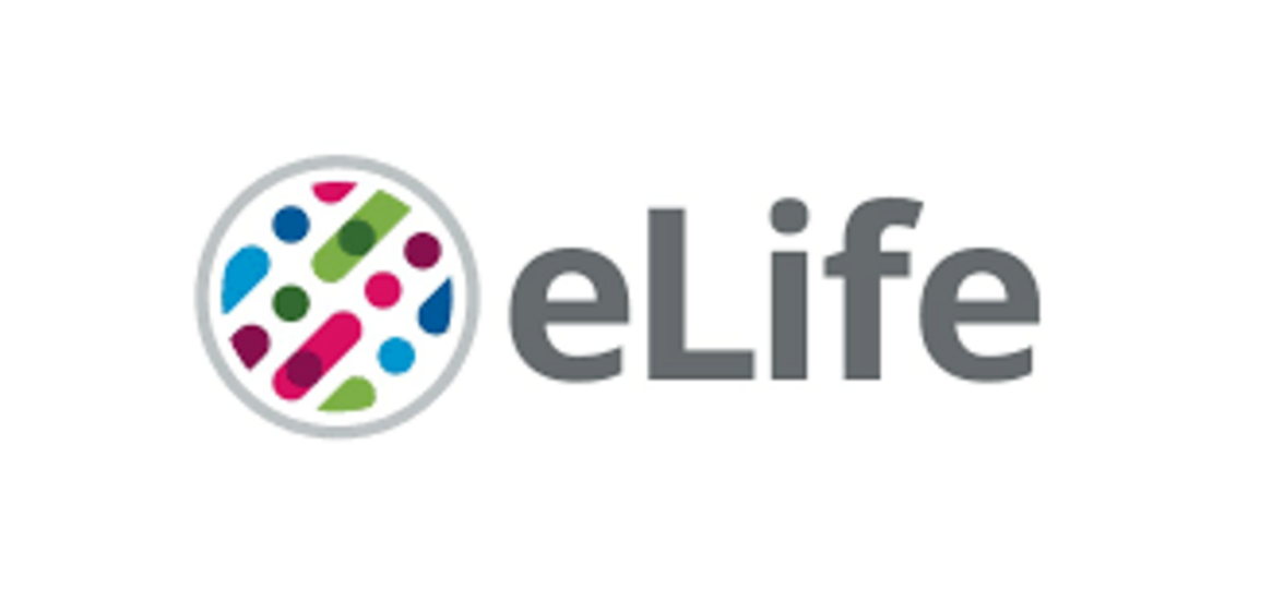 Колистин убивает бактерии путем воздействия на липополисахариды цитоплазматической мембраны (аннотация)