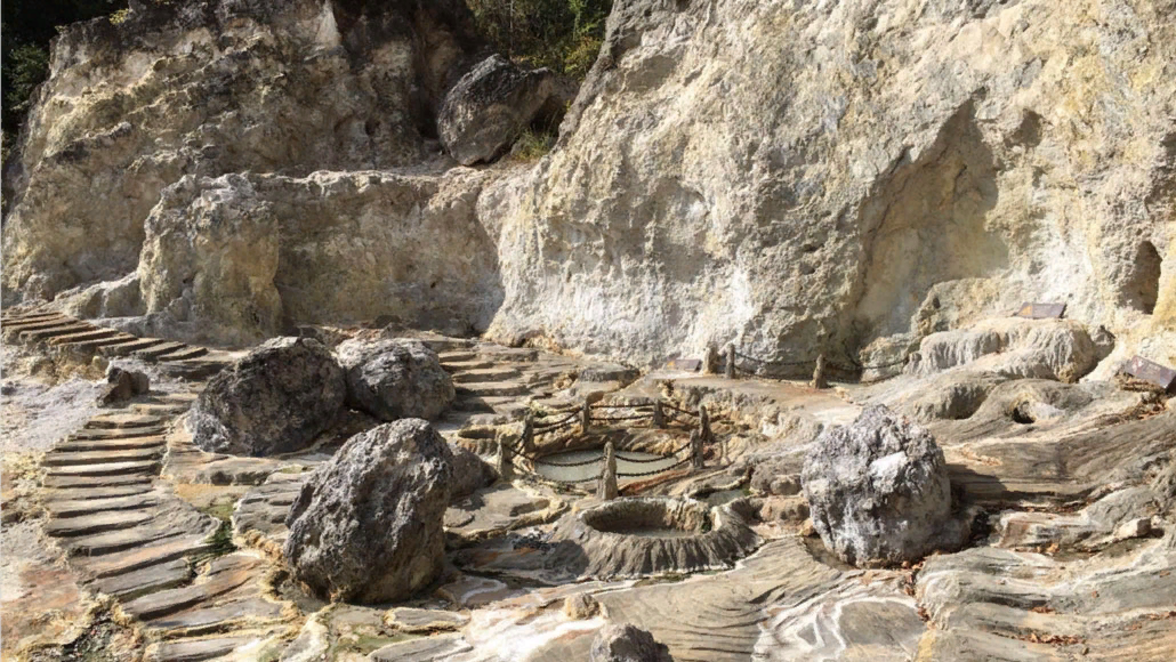 Эти полезные для климата микробы перерабатывают углерод без выработки метана