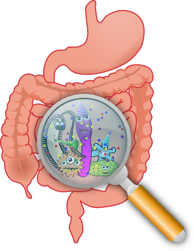 Новые исследования микробиоты кишечника (подборка статей, май 2021)