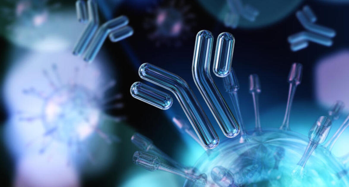 Ткани, а не кровь, являются местом функционирования иммунных клеток