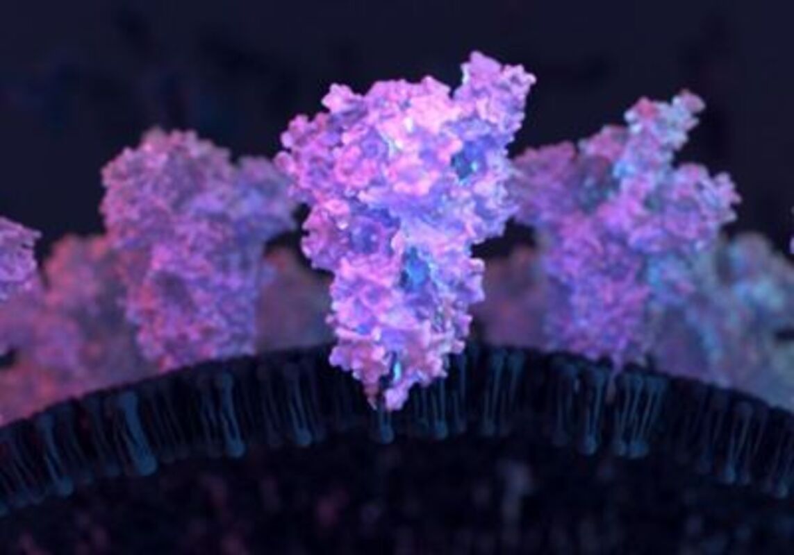 Делеции белка спайка связывают со вспышками COVID-19: препринт