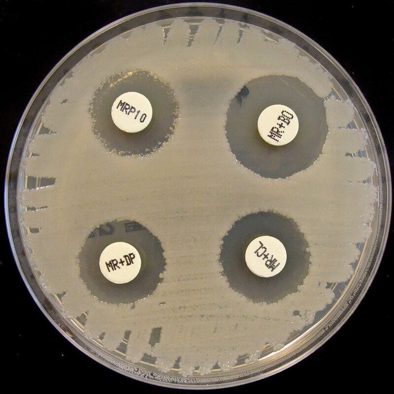 Масс-спектрометрия нативного состояния может идентифицировать лекарственные препараты для борьбы с резистентными бактериями