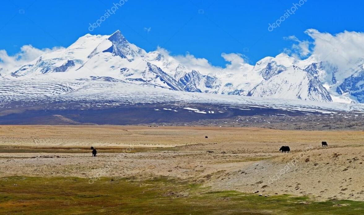 Ледниковый лед сохранил микробы и фаги возрастом почти 15 000 лет (аннотация)