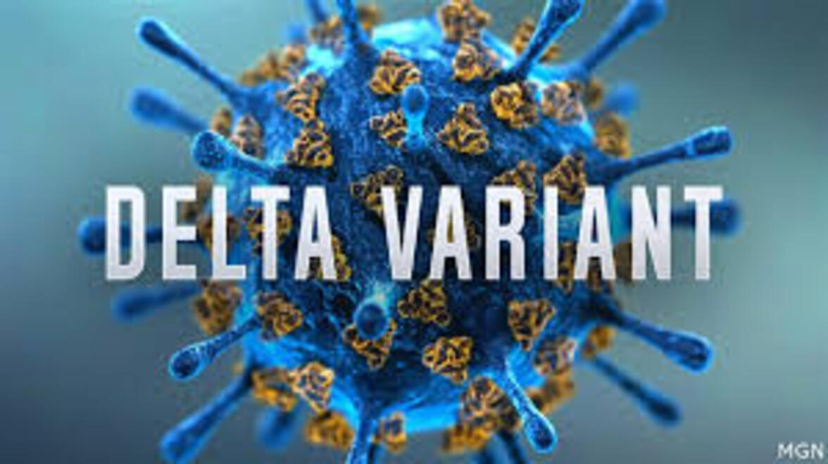 Утечка документа CDC, новый доклад предупреждает о контагиозности дельты