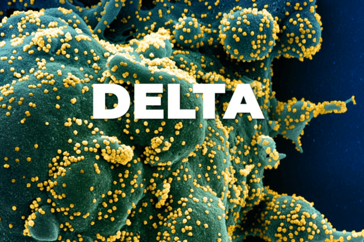Дюжина вопросов о "дельта"-штамме