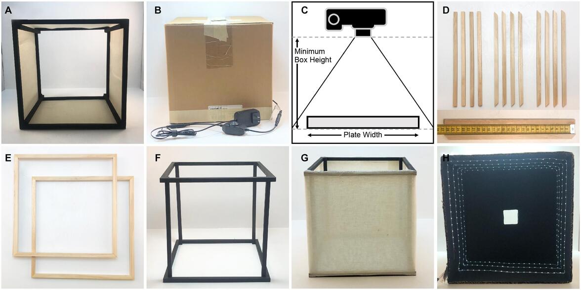 Недорогое устройство для высококачественной визуализации роста микроорганизмов на агаровых чашках 