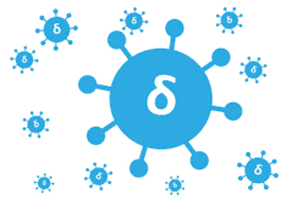 Как вакцинированные люди распространяют Дельту? Вот что говорит наука