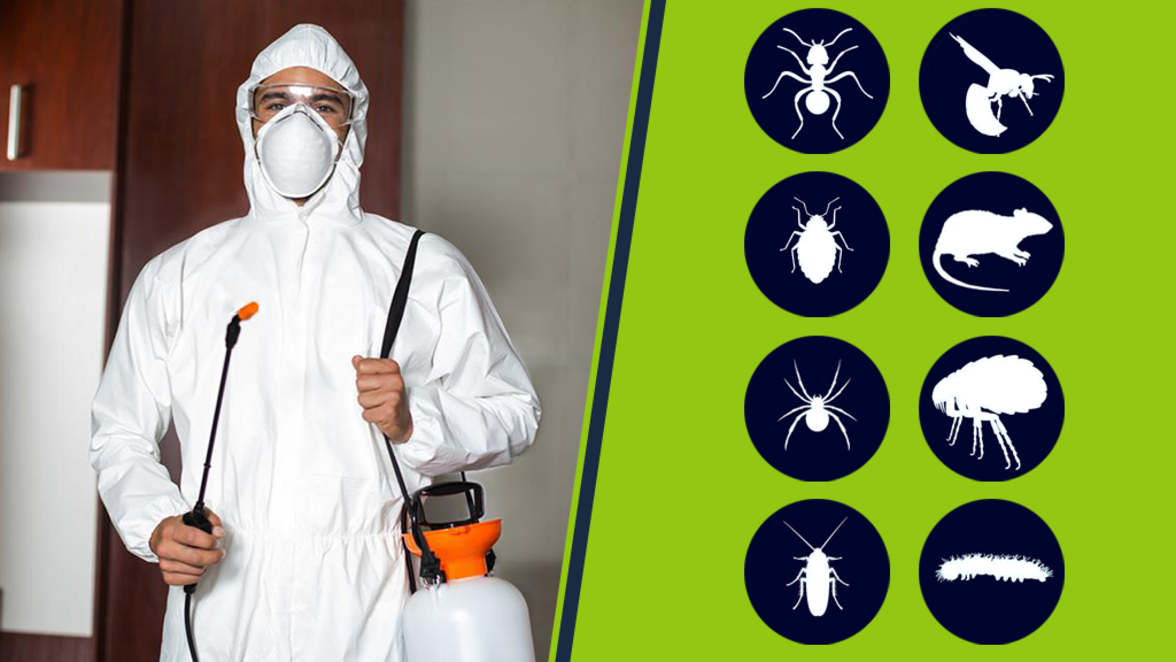 Роспотребнадзор введет обязательное лицензирование для проведения дезинфекции