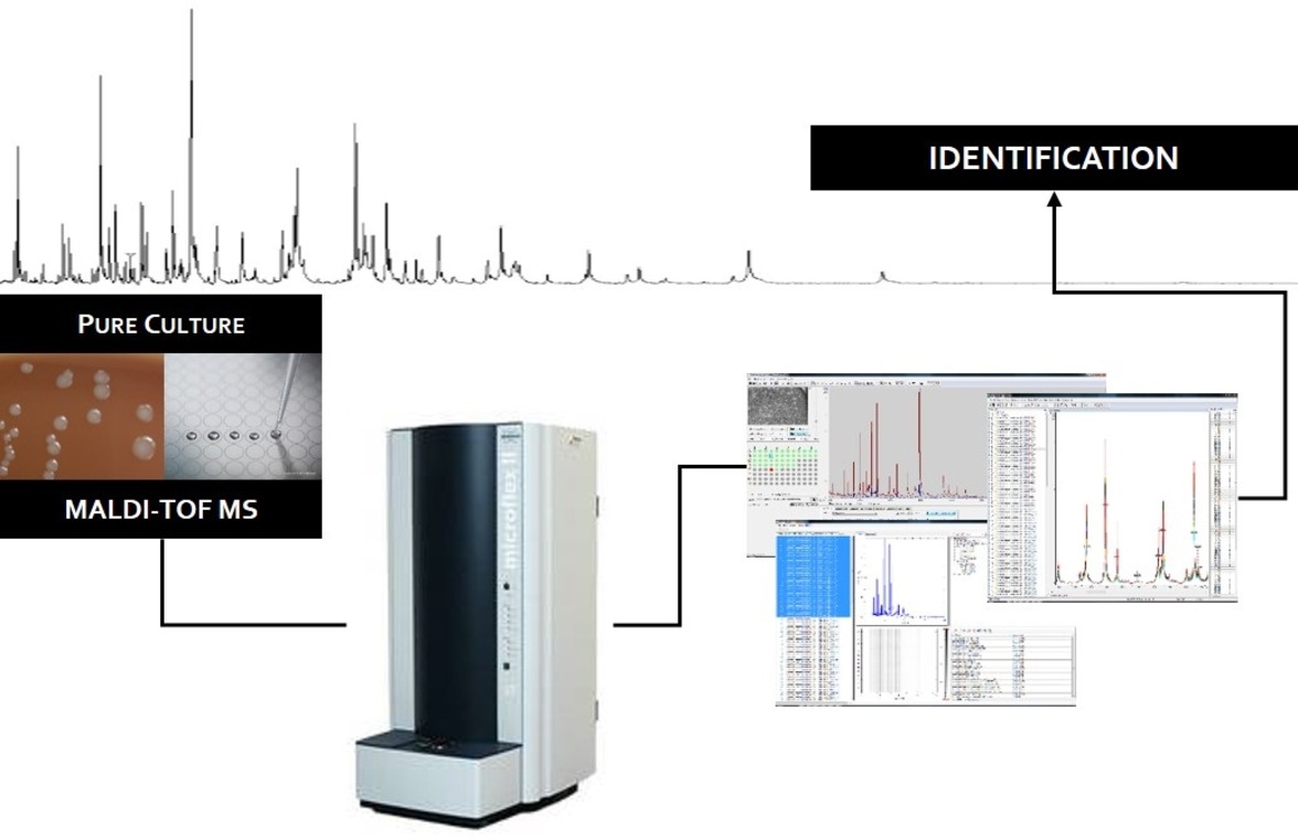 Детекция коронавируса тяжелого острого респираторного синдрома 2 (SARS-CoV-2) с помощью масс-спектрометрии