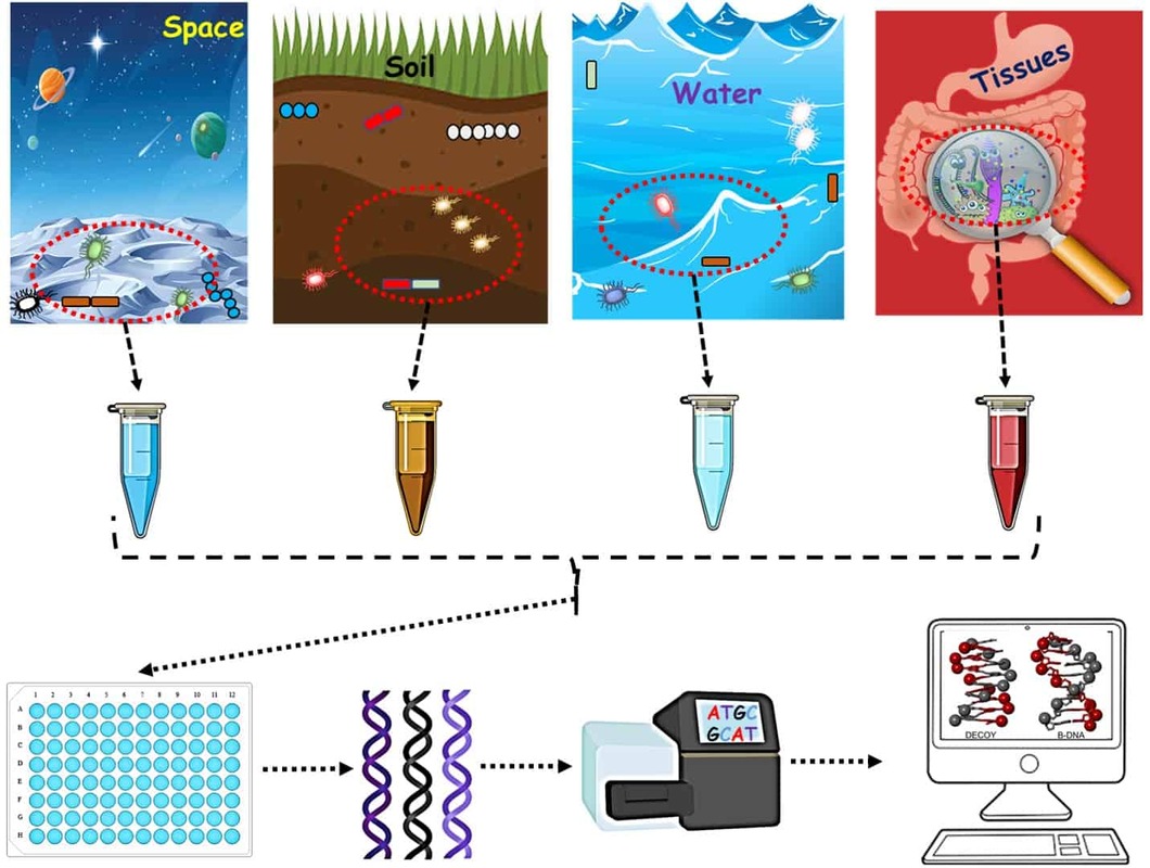 Новая технология объединяет анализ единичных клеток и метагеномный анализ для характеристики микроорганизмов