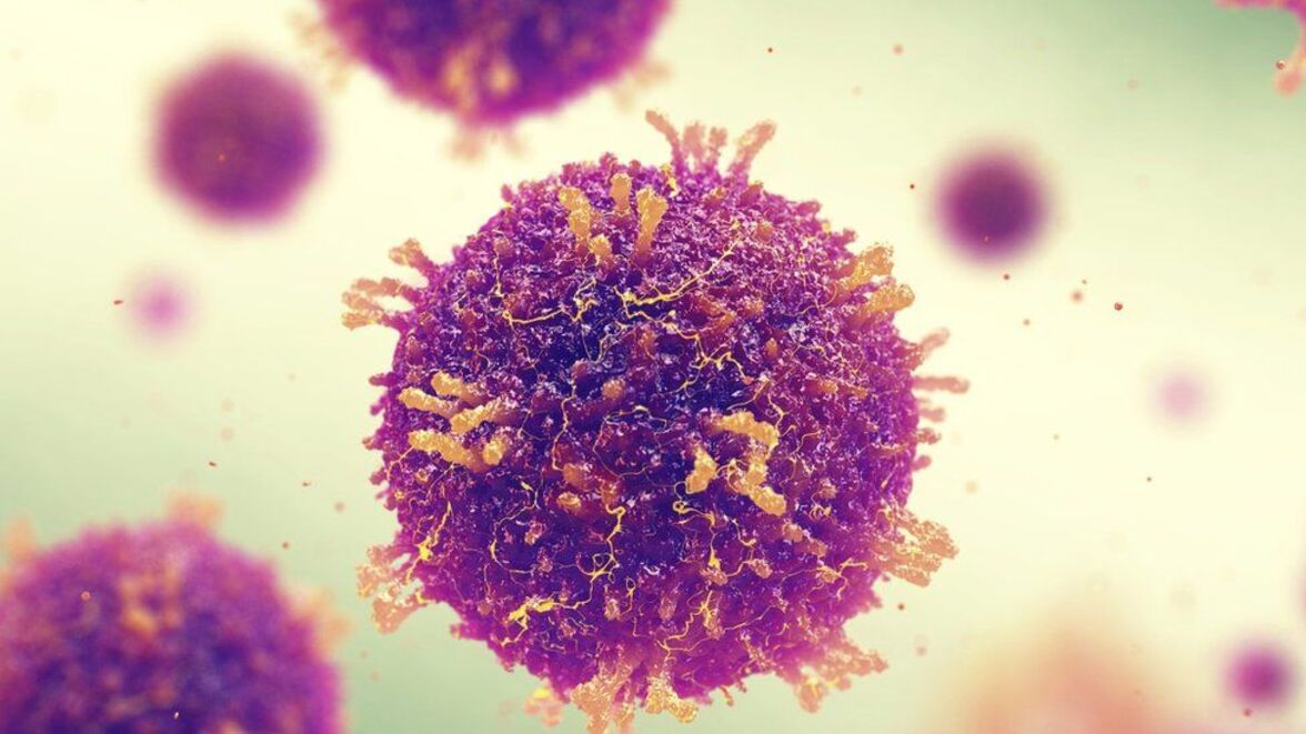 Корь: активация двух различных врожденных иммунных реакций 