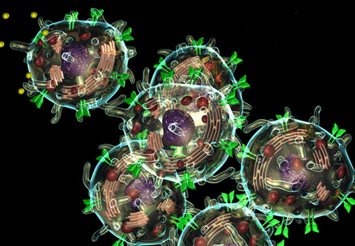 Иммуносупрессия ослабляет титры антител и нейтрализацию у пациентов с хроническими воспалительными заболеваниями после вакцинации против SARS-CoV-2