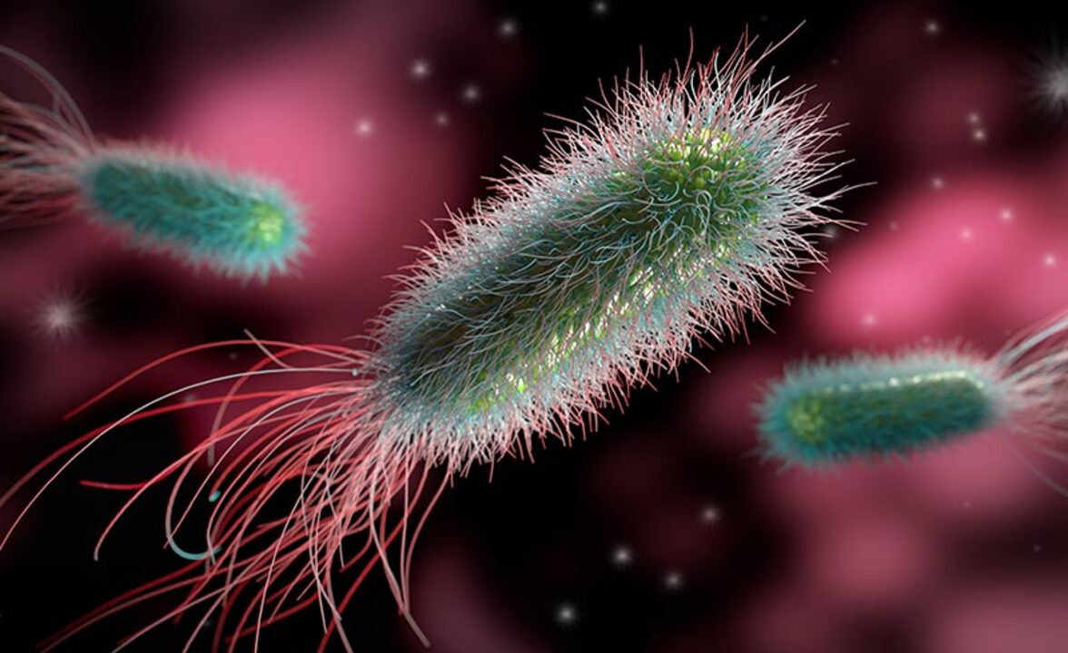 Распространенность MDR энтеробактерий выше среди пациентов с ВИЧ