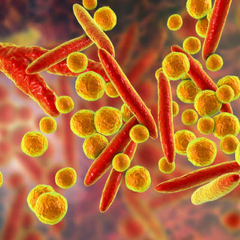 Mycoplasma genitalium: грозный враг, нуждающийся в новых методах лечения и диагностики