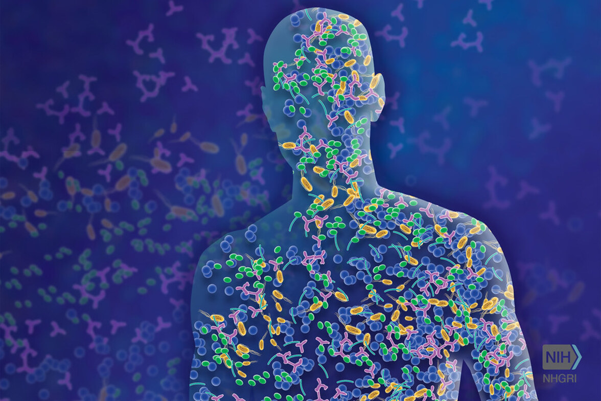 Микробиом человека: cимбиоз и патогенез