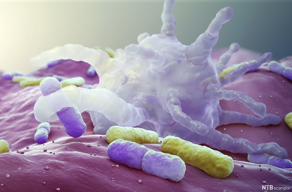 Строгий метод анализа микробиома плазмы позволяет выявлять ассоциации с заболеваниями в клинике