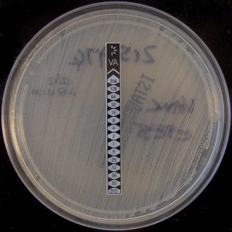 Отмена мер предосторожности при контактах с MRSA, VRE не привела к увеличению числа внутрибольничных инфекций