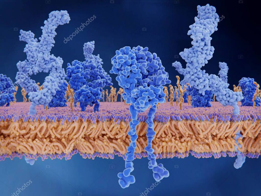 Более долговечная вакцина COVID? Новое исследование указывает путь